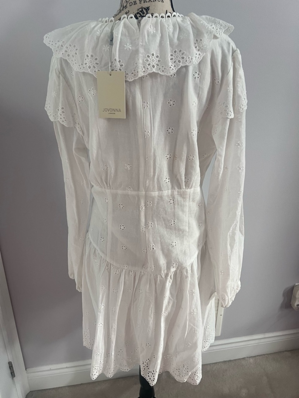 Lace-Trim White Eyelet Ruffle V-Neck Mini Dress - Picture 4 of 5